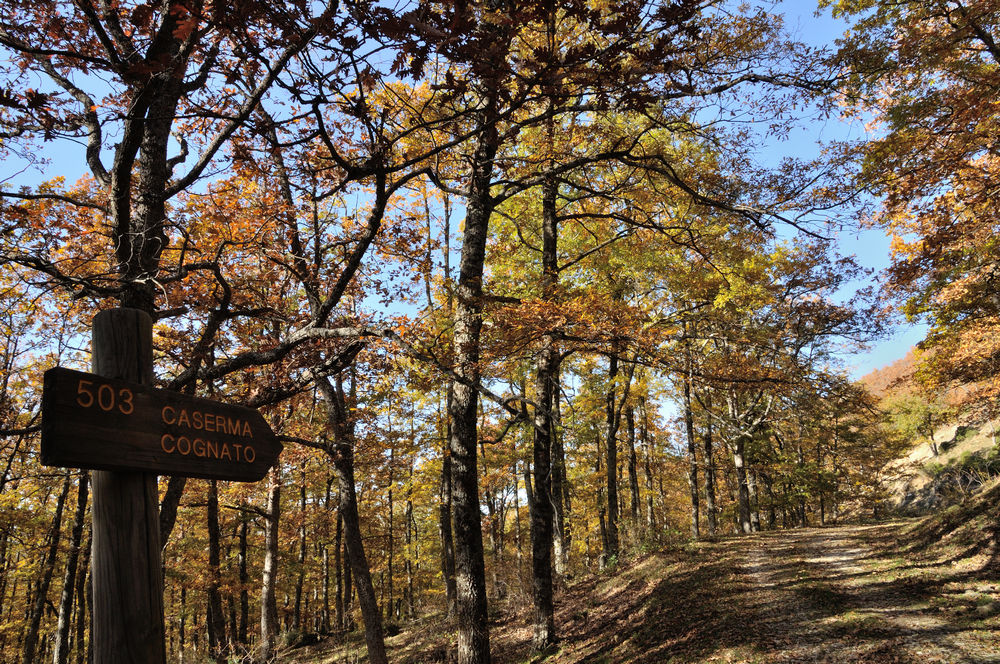 parco di gallipoli cognato