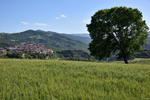 Garaguso