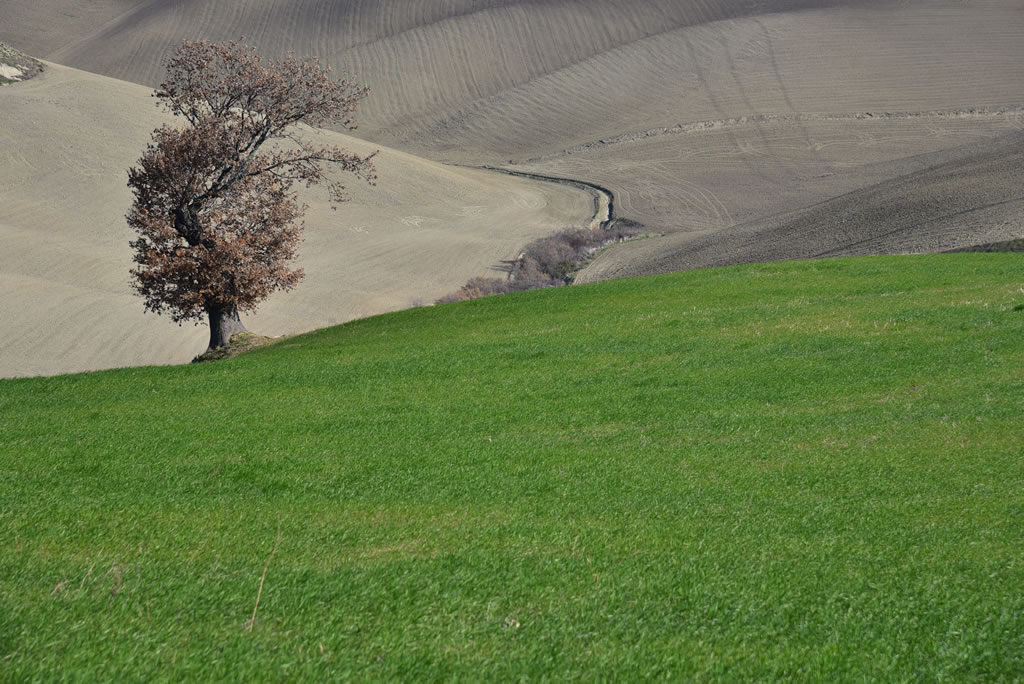 Il Paesaggio Lucano