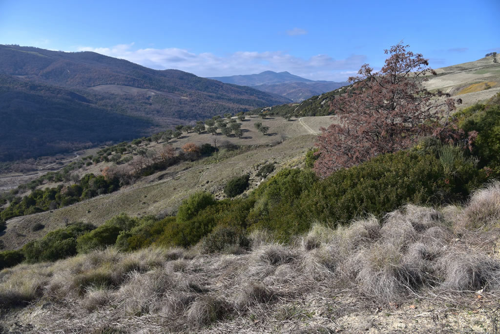 Il Paesaggio Lucano