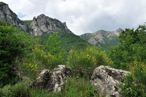 Parco Gallipoli Cognato Piccole Dolomiti Lucane