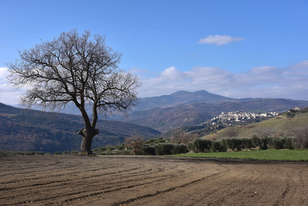 Il Paesaggio Lucano