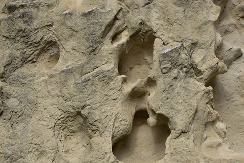 Sabbioni di Garaguso
