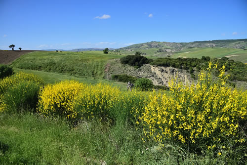 Paesaggio Lucano - Garaguso