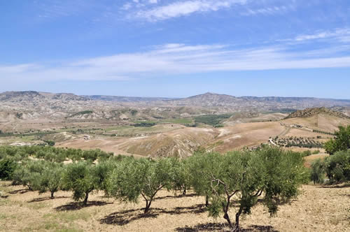 Craco e i calanchi