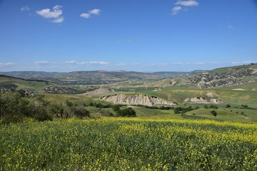Paesaggio Lucano - Garaguso