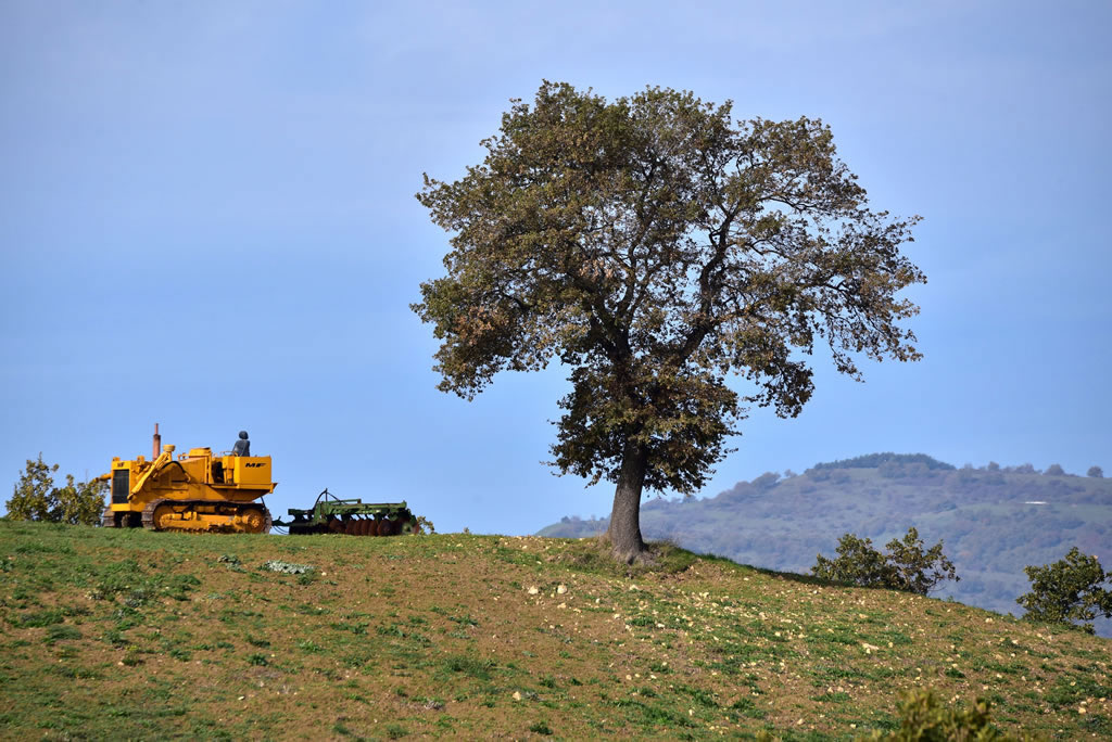 Il Paesaggio Lucano