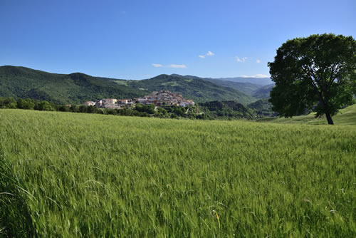 Paesaggio Lucano - Garaguso