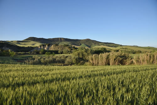 Paesaggio Lucano - Garaguso