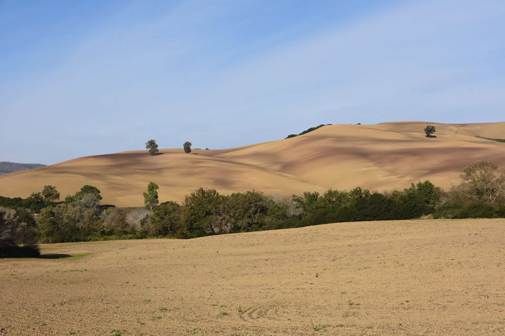 Il Paesaggio Lucano
