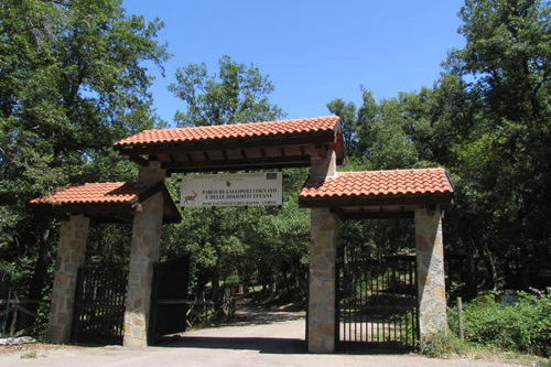 Parco Gallipoli Cognato Piccole Dolomiti Lucane