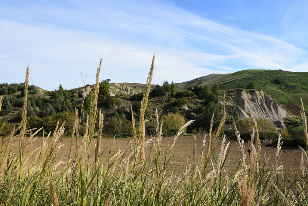 Il Paesaggio Lucano
